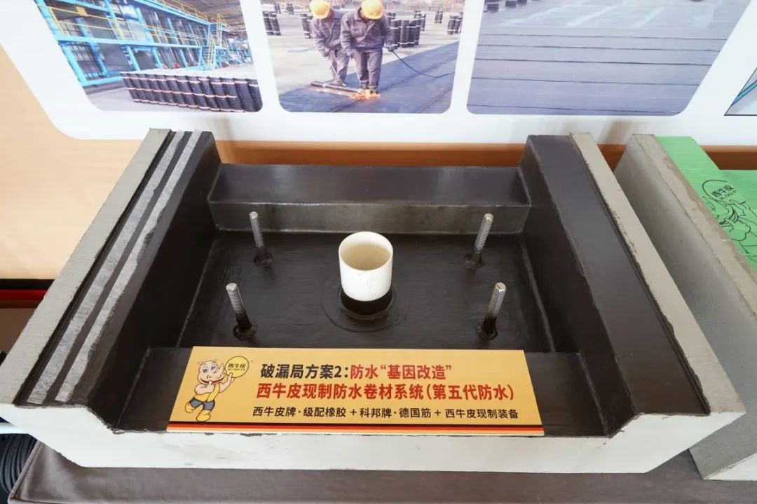 DSC00615.JPG 圖片關(guān)鍵詞