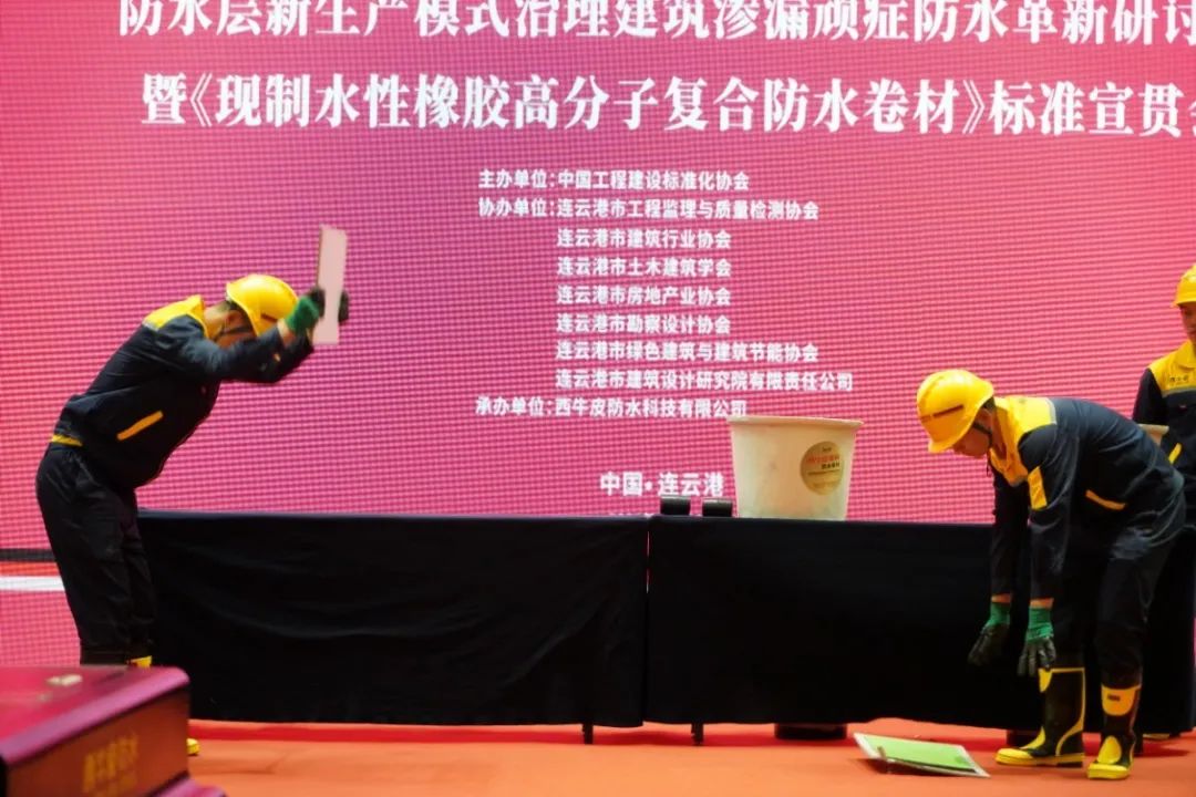 DSC00586.JPG 圖片關(guān)鍵詞