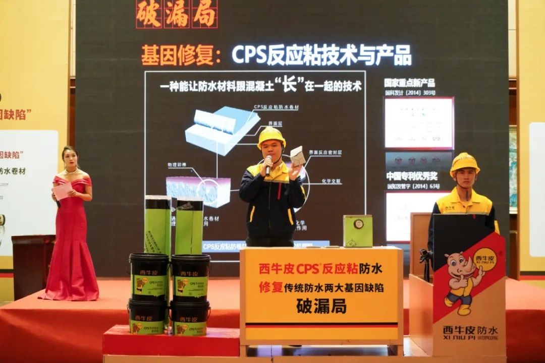 DSC00886.JPG 圖片關(guān)鍵詞
